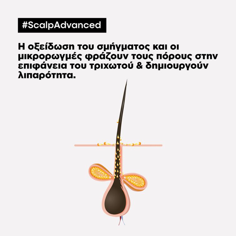 L’Oreal Professionnel Serie Expert Scalp Advanced Anti-Grass Oiliness Clay 500ml - Image 2