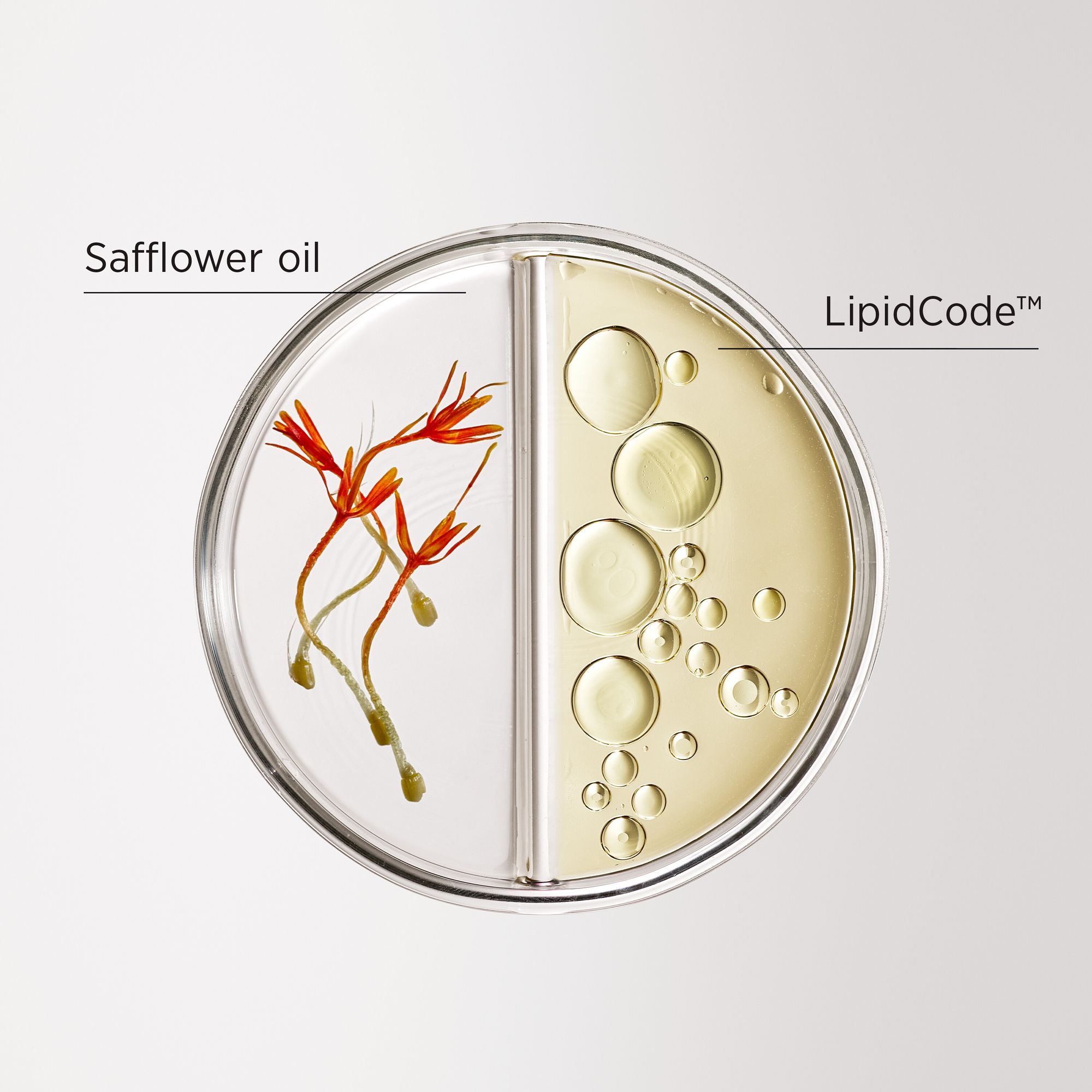 System Professional Luxeblond LB2 Hair Moisturiser 200ml - Image 4