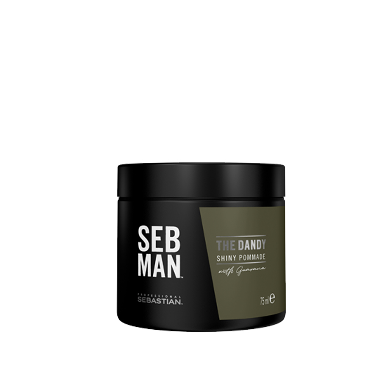 Sebastian Professional Seb Man The Dandy Pomade 75ml