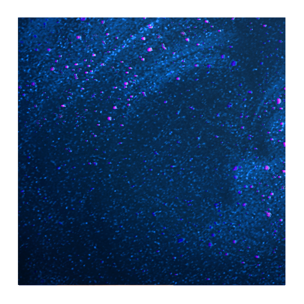 O⋅P⋅I Infinite Shine Awe Night Long 15ml - Image 5