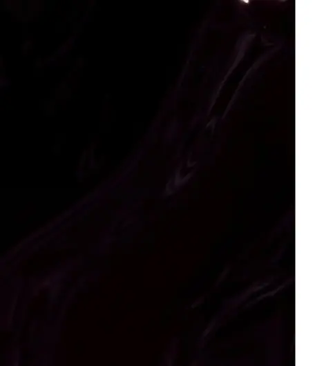 O⋅P⋅I Gel Color Lincoln Park After Dark 15ml - Image 2