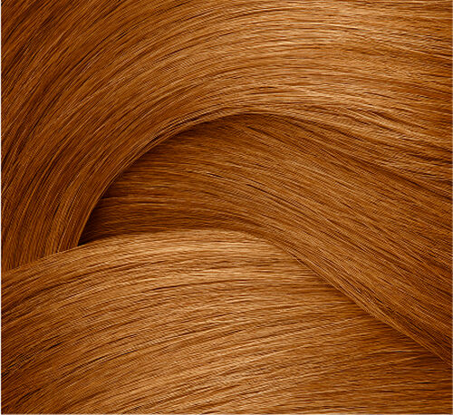 Redken Shades EQ Gloss Bonder 06WG 60ml